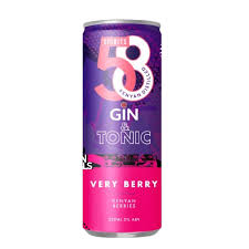 58 VERY BERRY G&T 330ML